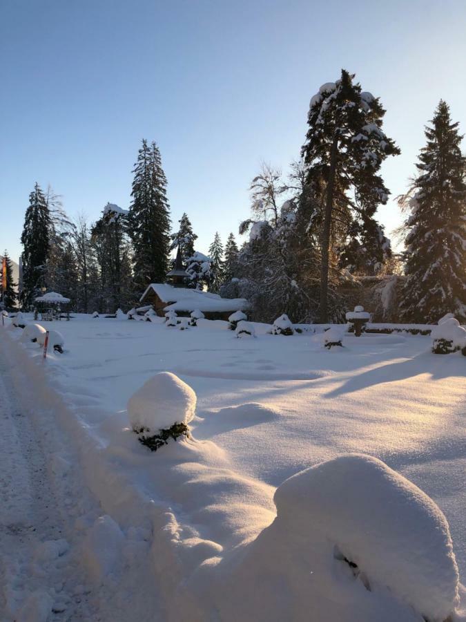Belmont * Flims